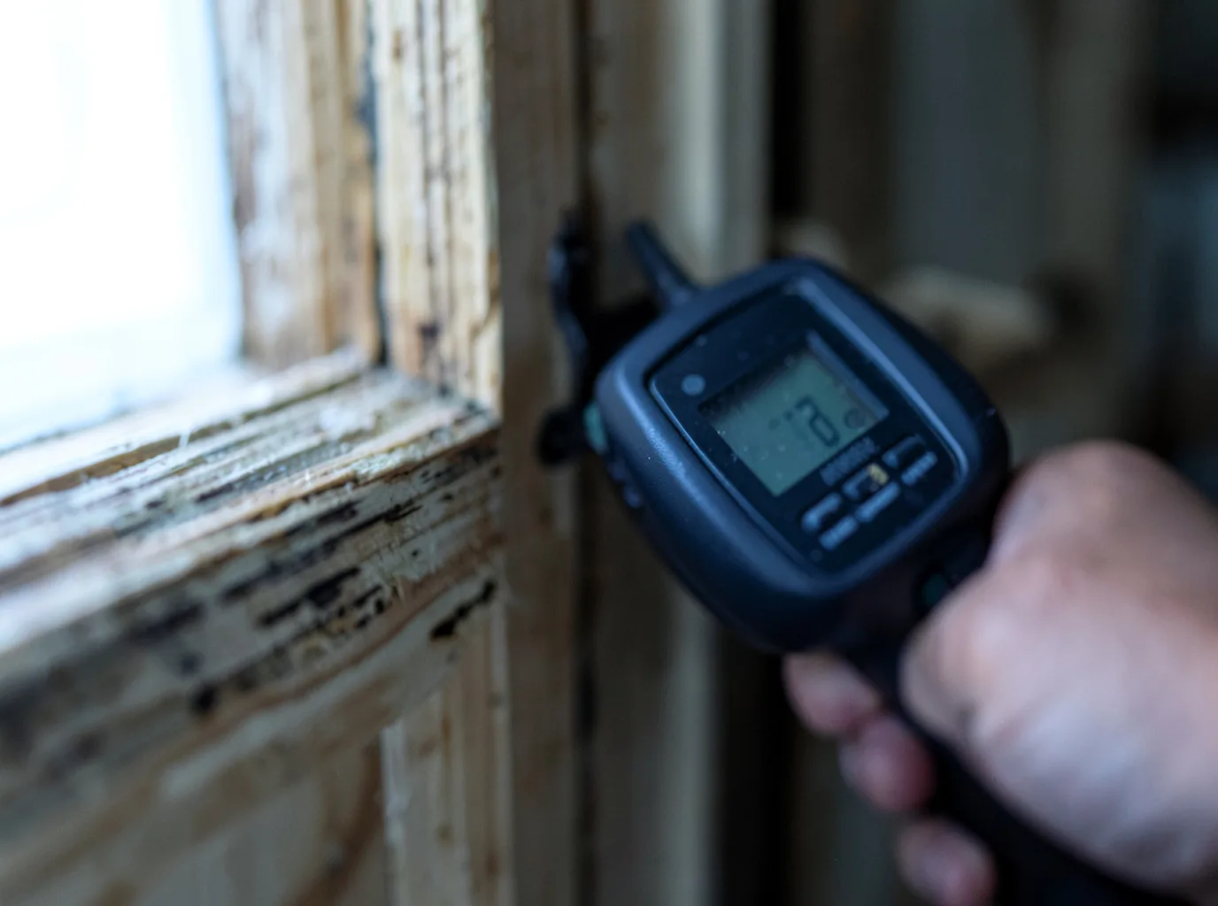 Moisture Inspection And Documentation in Dayton, IA